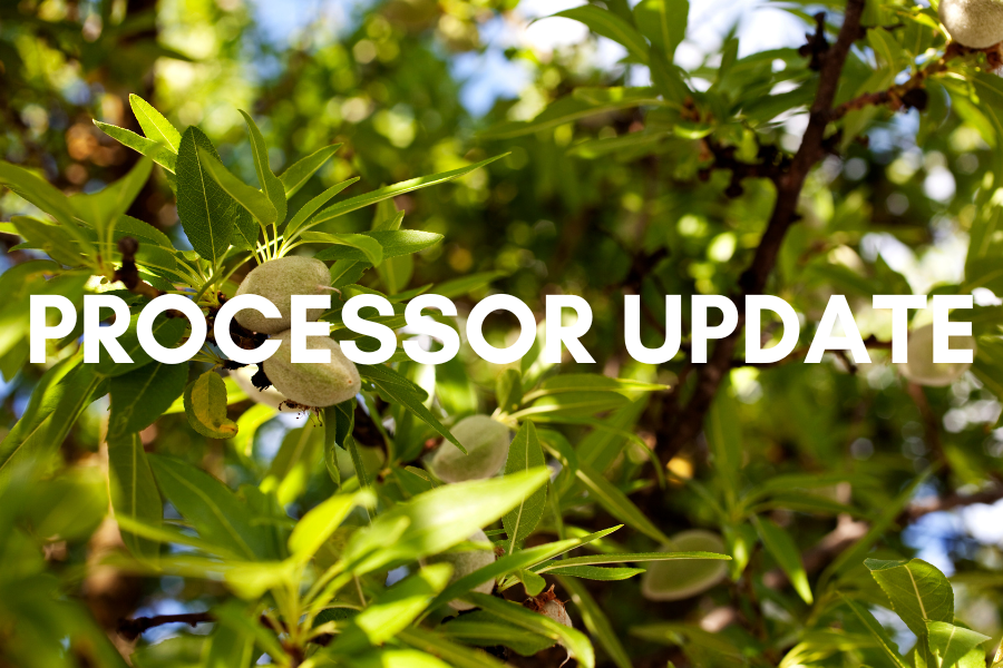 processor update (1)