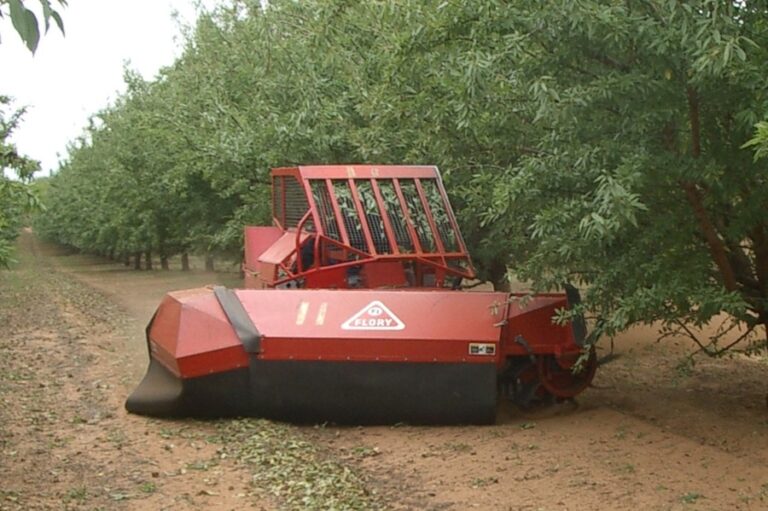2026 crop estimate - Australian Almonds